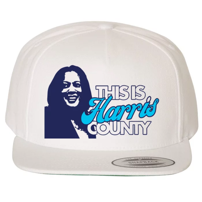 Abbie Kamin This Is Harris County Wool Snapback Cap