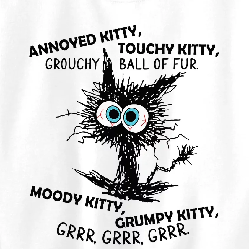 Annoyed Kitty Touchy Kitty Grouchy Ball Of Fur Moody Grumpy Kids Sweatshirt