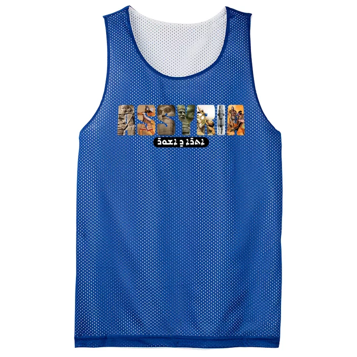 Assyria Land Assyrian Flag Assyrian Winged Bull Lamassu Funny Gift Mesh Reversible Basketball Jersey Tank