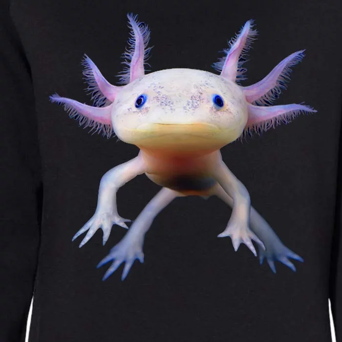 Axolotl Limited Edition Womens California Wash Sweatshirt