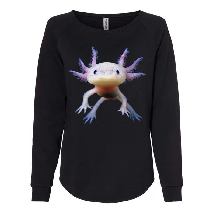 Axolotl Limited Edition Womens California Wash Sweatshirt