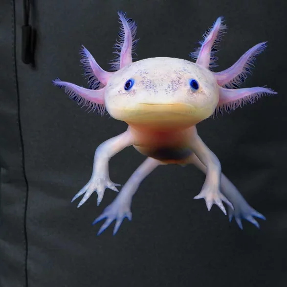 Axolotl Limited Edition Daily Commute Backpack