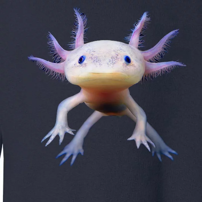 Axolotl Limited Edition Toddler Sweatshirt