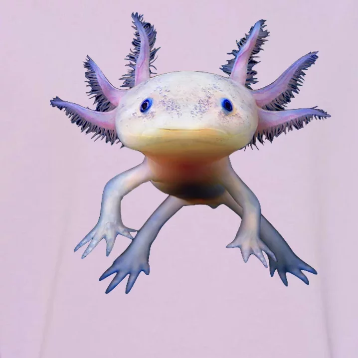 Axolotl Limited Edition Garment-Dyed Sweatshirt