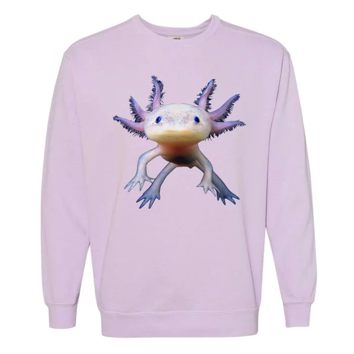 Axolotl Limited Edition Garment-Dyed Sweatshirt