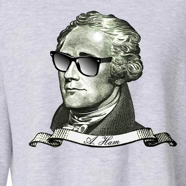 Alexander Hamilton A. Ham Sunglasses USA Cropped Pullover Crew