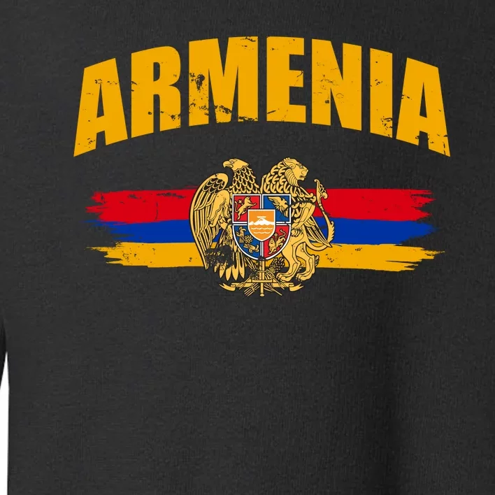 Armenia Logo Flag Toddler Sweatshirt