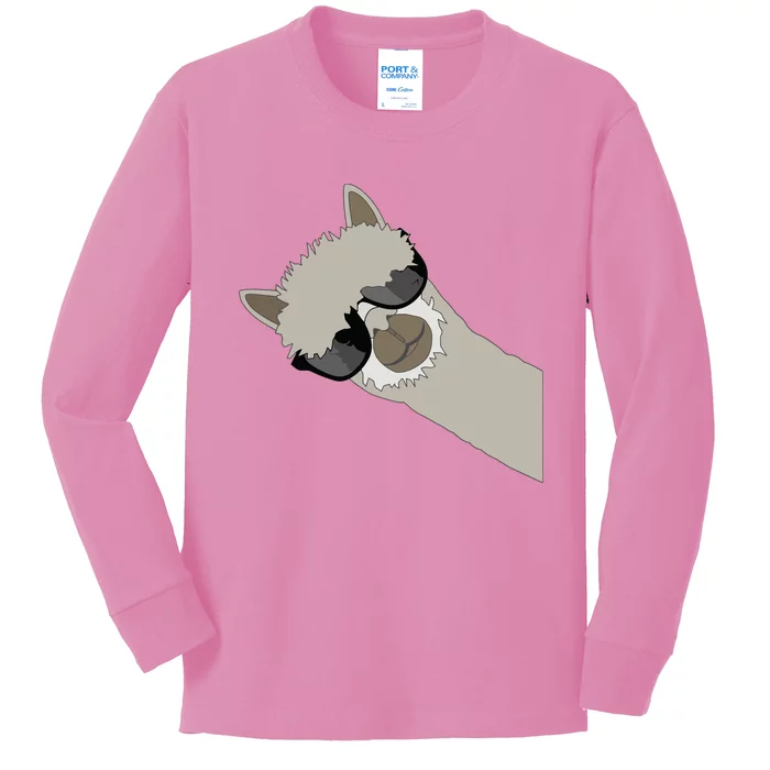 Alpaca Llama Gift Funny Cool Llama Deco Kids Long Sleeve Shirt