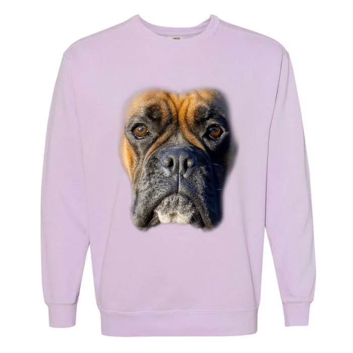 Animal Lover Gift Boxer Face Funny Dog Lovers Tshirt Garment-Dyed Sweatshirt