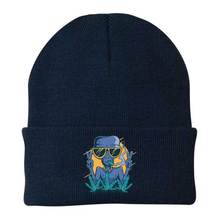 Alien Joint Knit Cap Winter Beanie