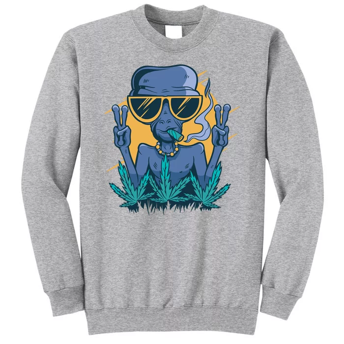 Alien Joint Tall Sweatshirt