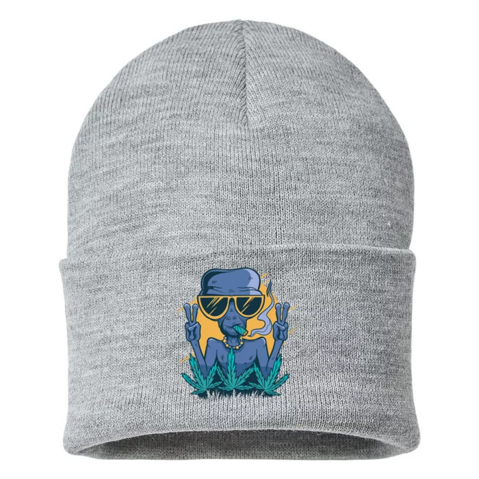 Alien Joint Sustainable Knit Beanie