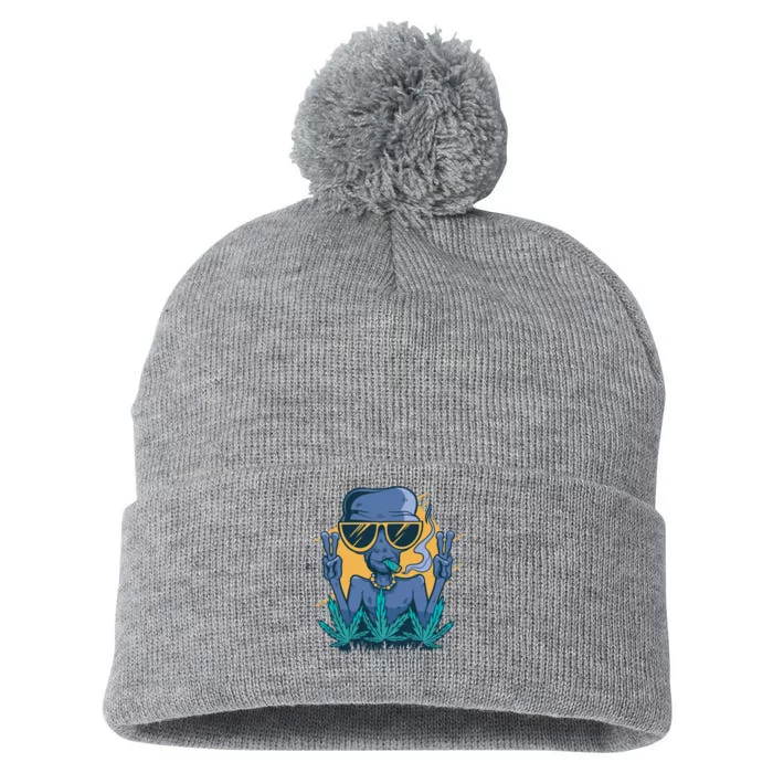 Alien Joint Pom Pom 12in Knit Beanie