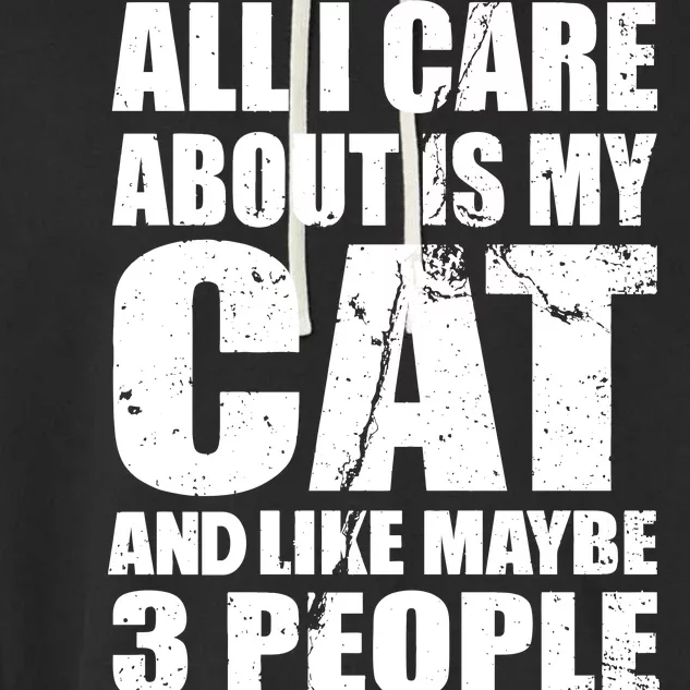 All I Care About Is My Cat And Like 3 People Garment-Dyed Fleece Hoodie