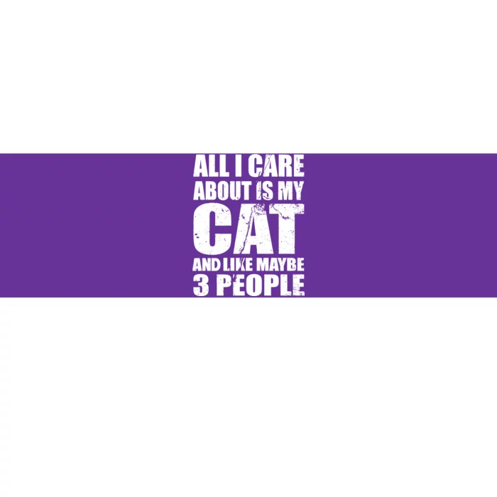 All I Care About Is My Cat And Like 3 People Bumper Sticker