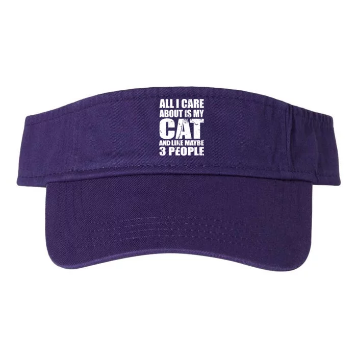 All I Care About Is My Cat And Like 3 People Valucap Bio-Washed Visor