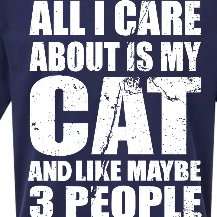 All I Care About Is My Cat And Like 3 People Sueded Cloud Jersey T-Shirt