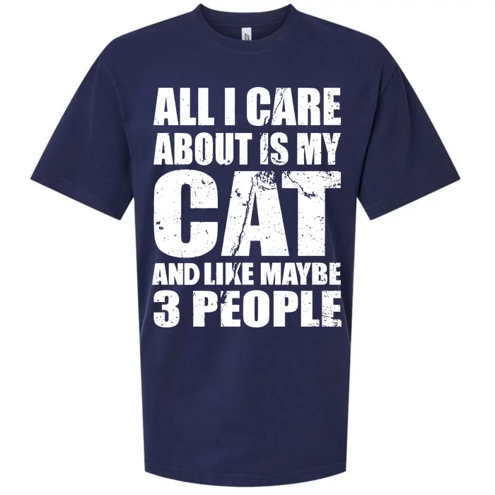 All I Care About Is My Cat And Like 3 People Sueded Cloud Jersey T-Shirt