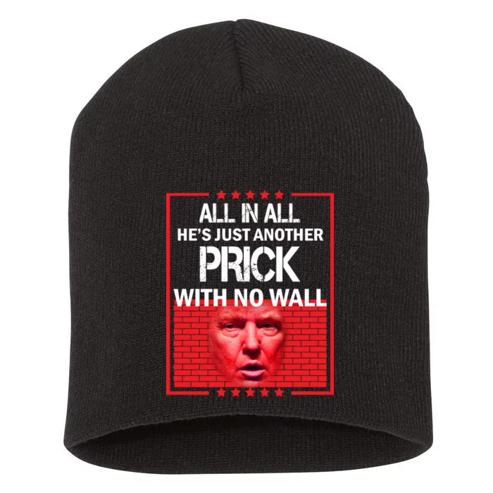 All In All He's Just Another Prick With No Wall Short Acrylic Beanie