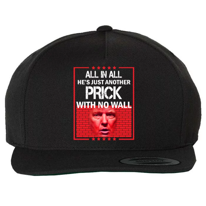 All In All He's Just Another Prick With No Wall Wool Snapback Cap