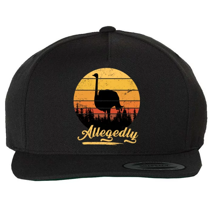 Allegedly Ostrich Retro Wool Snapback Cap