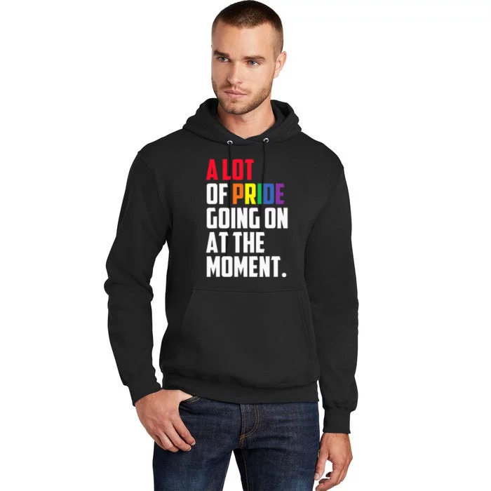 A Lot Of Pride Going On At The Moment Lgbt Pride Month Tall Hoodie