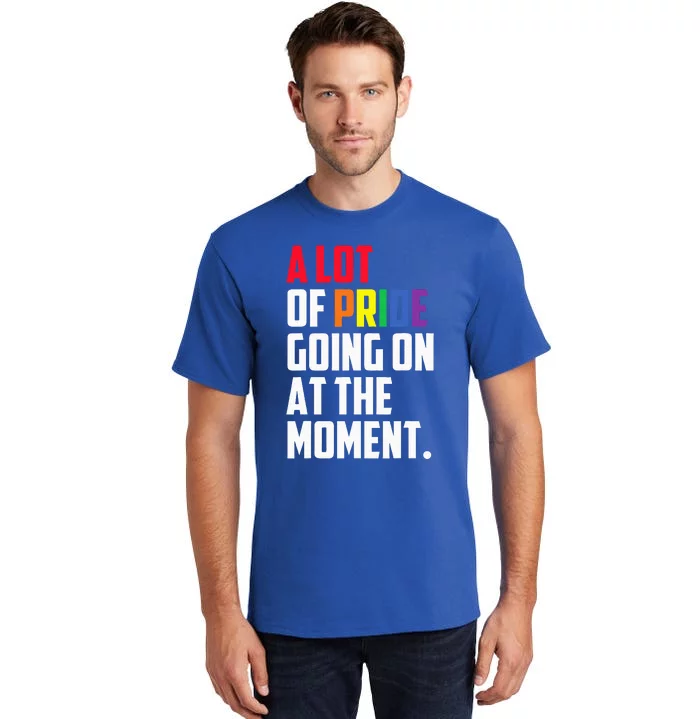 A Lot Of Pride Going On At The Moment Lgbt Tall T-Shirt