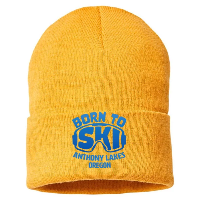 Anthony Lakes Oregon Nc Born To Ski Souvenir Sustainable Knit Beanie