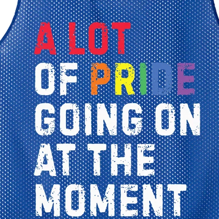 A Lot Of Pride Going On At Moment Mesh Reversible Basketball Jersey Tank