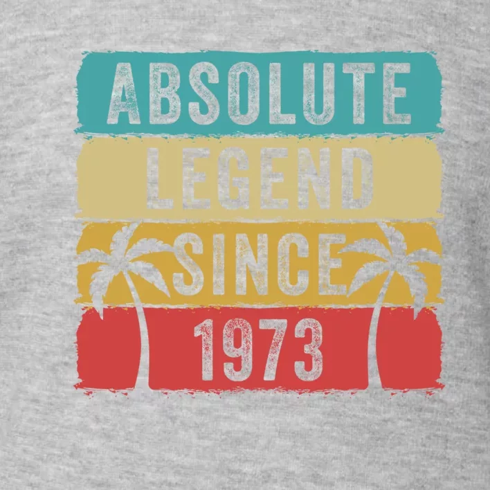 Absolute Legend Since 1973 Retro Birthday Celebration Funny Gift Toddler Sweatshirt