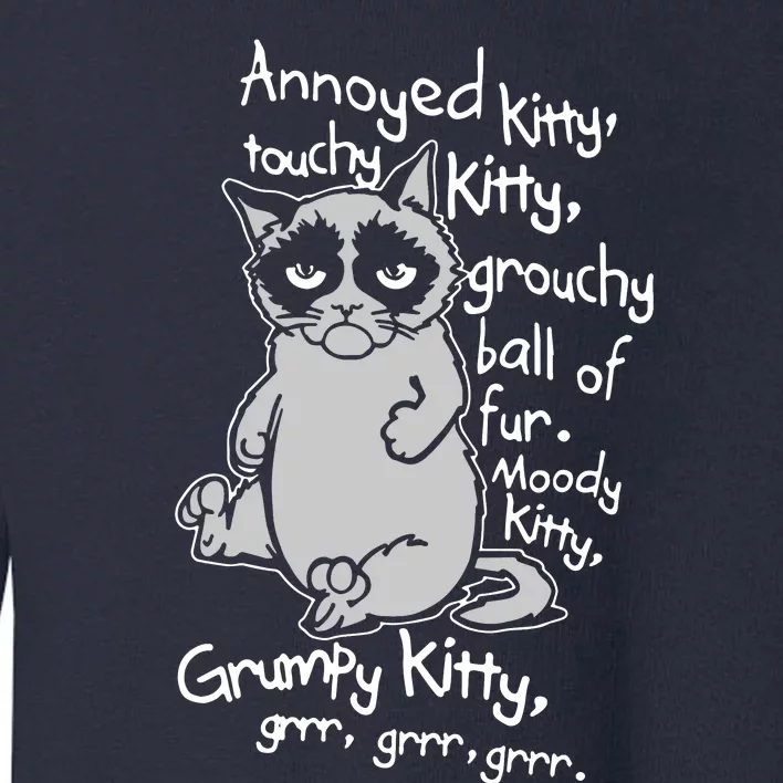 Annoyed Litty Touchy Kitty Grouchy Ball Of Fur Moody Kitty Grumpy Kitty Cat Toddler Sweatshirt