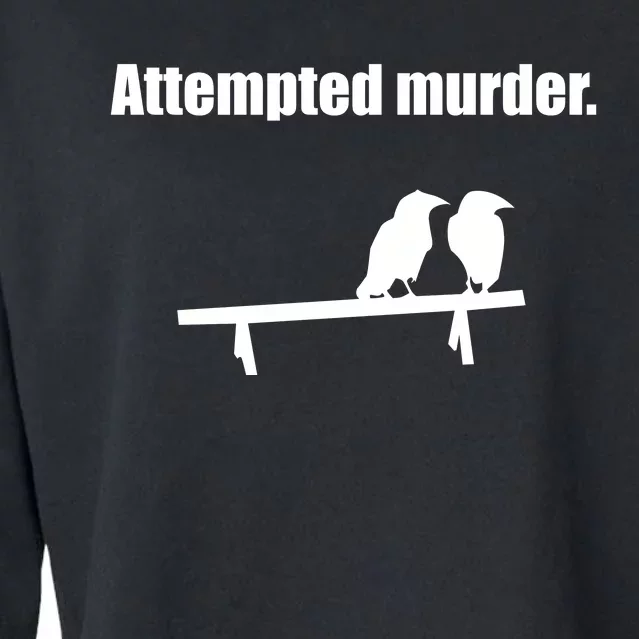 Attempted Murder Cropped Pullover Crew