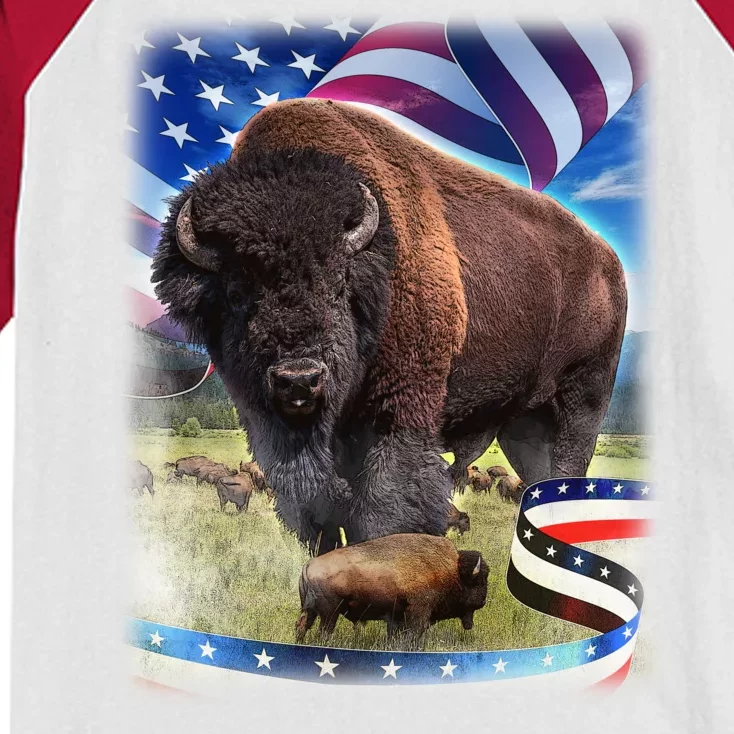 American Bison USA Flag Buffalo Kids Colorblock Raglan Jersey