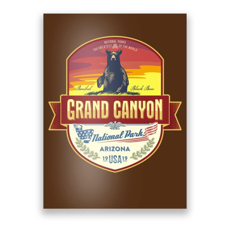 American Black Bear Grand Canyon National Park Poster