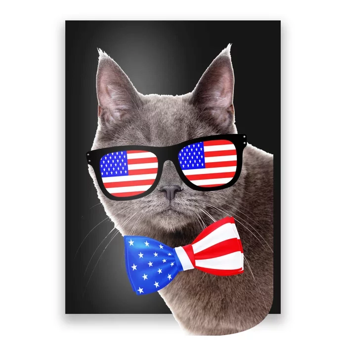 American Cat With USA Glasses And Bow Tie Poster