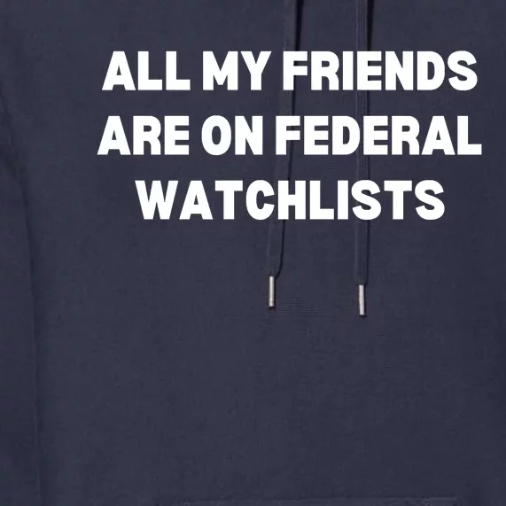 All My Friends Are On Federal Watch Lists Funny Quote Premium Hoodie