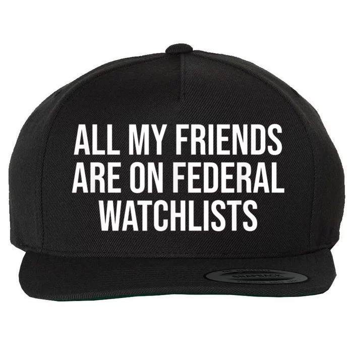 All My Friends Are On Federal Watch Lists Funny Sarcastic Wool Snapback Cap