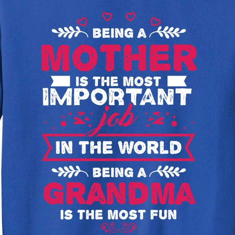 A Mother Is The Most Important Job In The World Mom Mommy Cute Gift Tall Sweatshirt