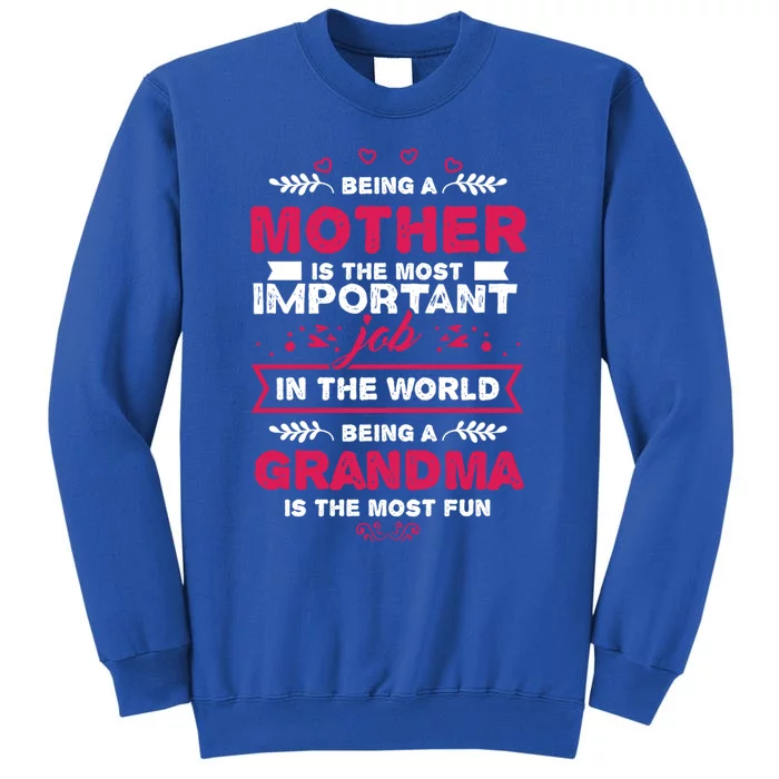 A Mother Is The Most Important Job In The World Mom Mommy Cute Gift Tall Sweatshirt