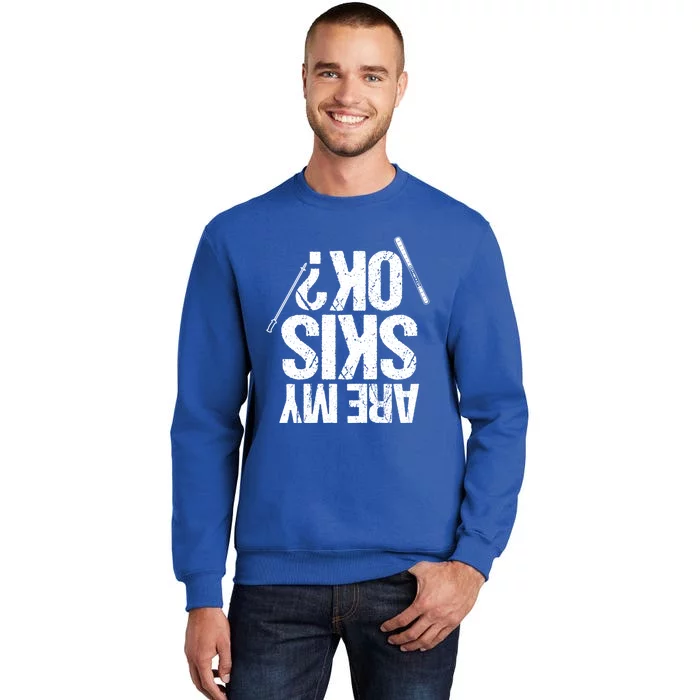 Are My Ski Ok? Skiing Snow Mountain Winter Gift Sweatshirt