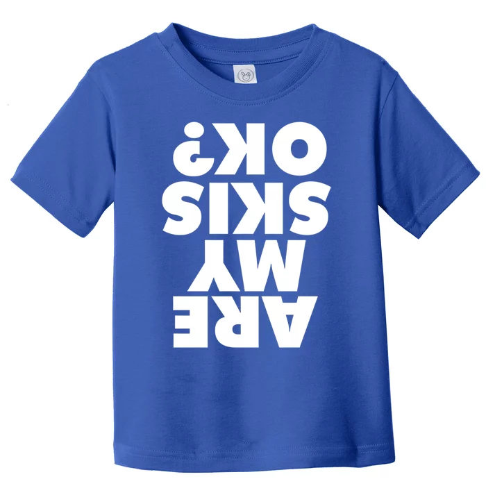 Are My Skis Ok? Gift Toddler T-Shirt