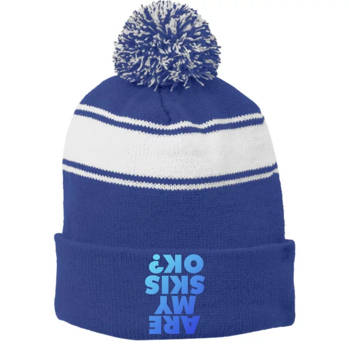 Are My Skis Ok? Gift Stripe Pom Pom Beanie