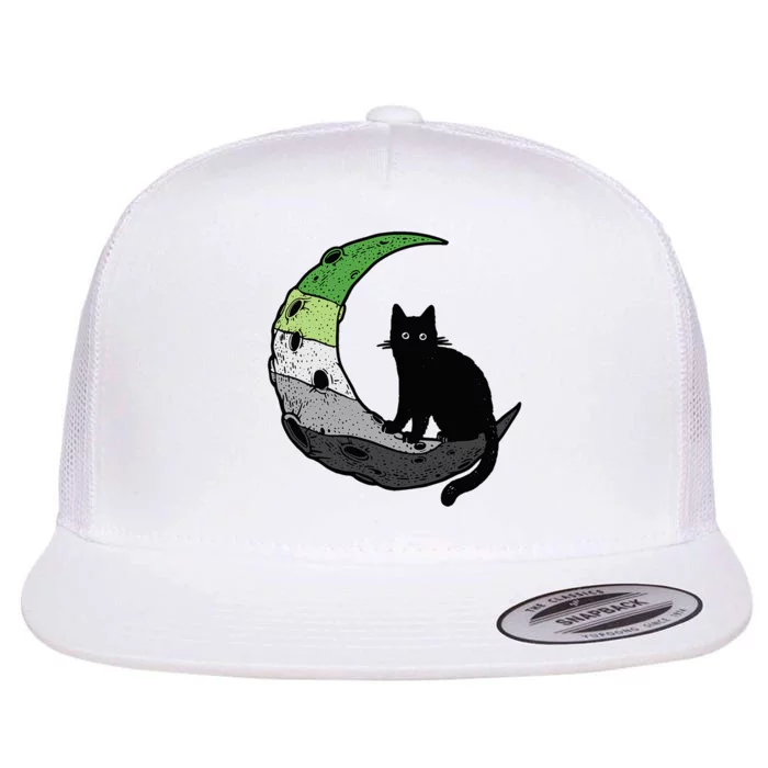 Aromantic Moon Space Cat Aro Pride Flag LGBT Subtle Asexual Flat Bill Trucker Hat