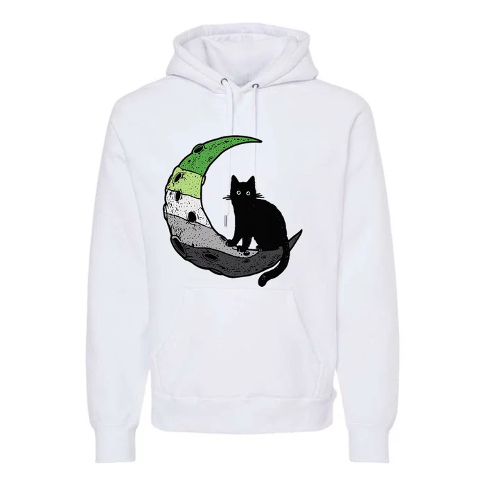 Aromantic Moon Space Cat Aro Pride Flag LGBT Subtle Asexual Premium Hoodie