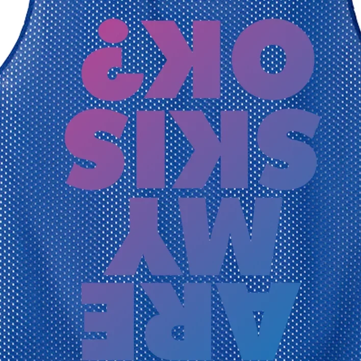 Are My Skis Ok? Gift Mesh Reversible Basketball Jersey Tank