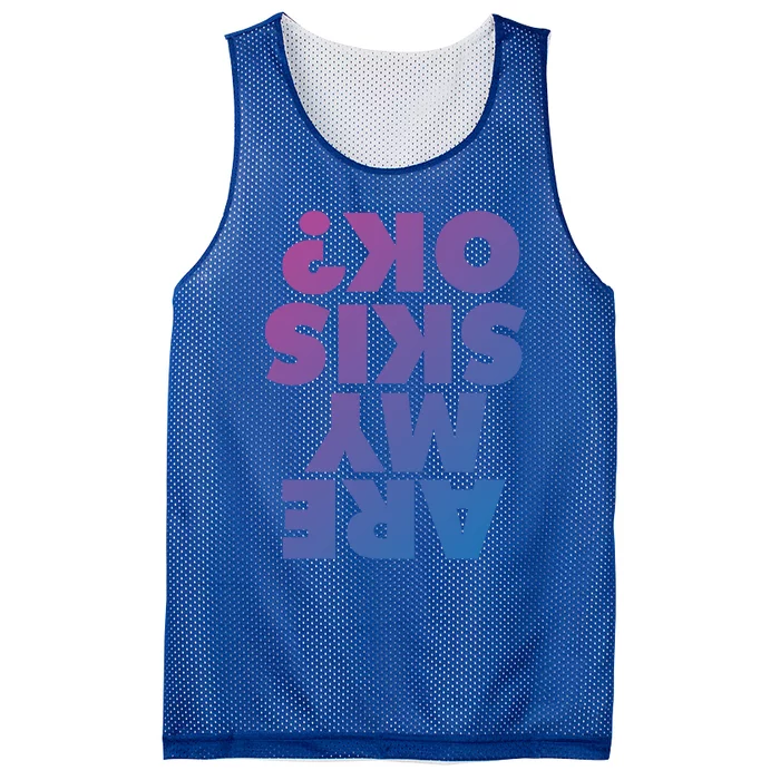 Are My Skis Ok? Gift Mesh Reversible Basketball Jersey Tank