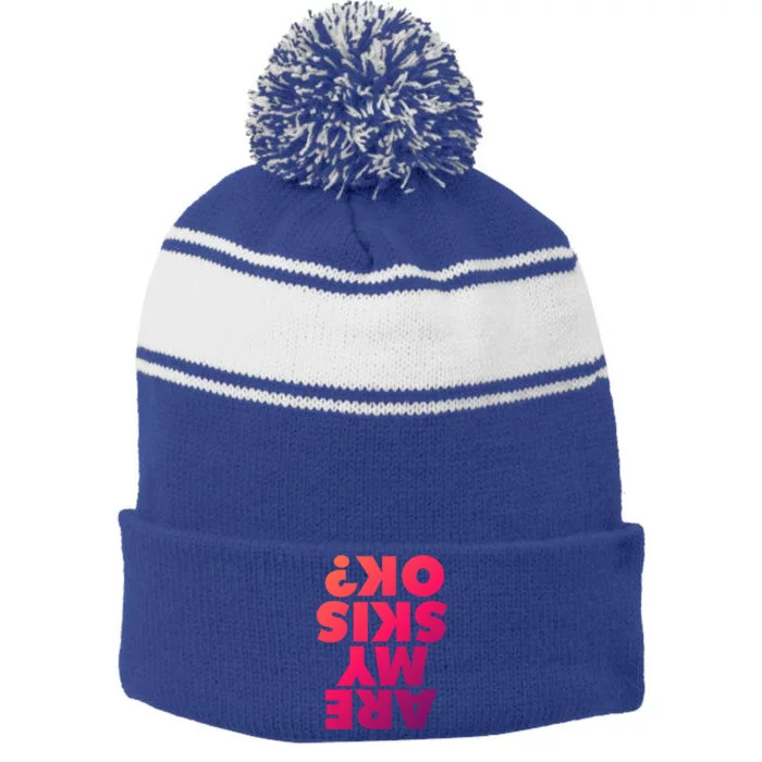 Are My Skis Ok? Gift Stripe Pom Pom Beanie