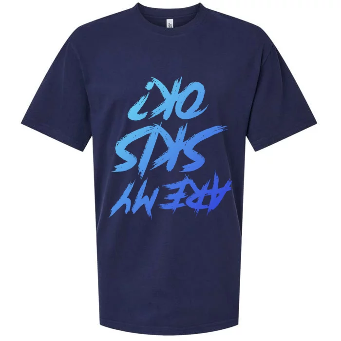 Are My Skis Okay Gift Sueded Cloud Jersey T-Shirt