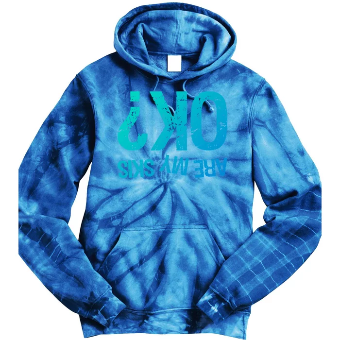 Are My Skis Ok? Skiing Great Gift Tie Dye Hoodie