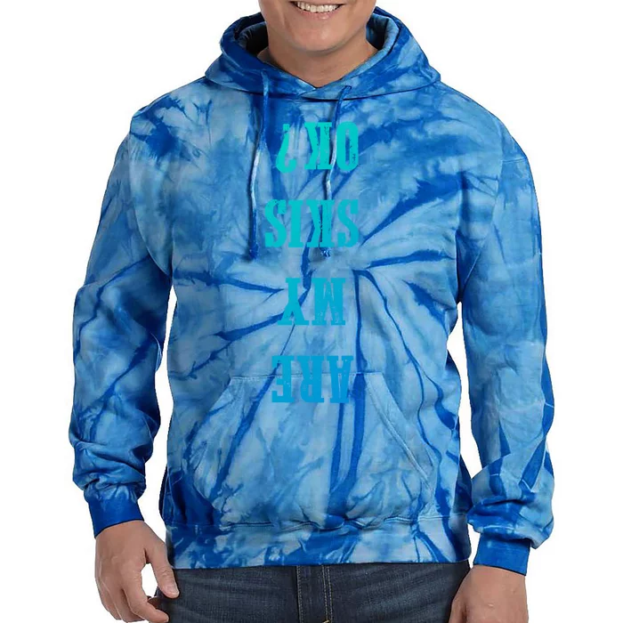 Are My Skis Ok? Gift Tie Dye Hoodie